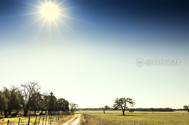 在潮湿的Pampa, Córdoba，阿根廷的畜牧业农田。